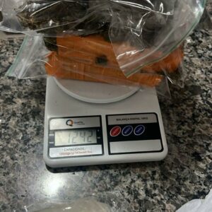 PCGO prende investigado por homicídio e localiza grande quantidade de drogas