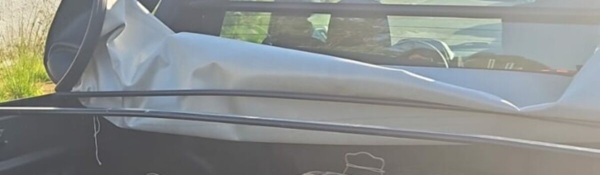 Polícia Civil apreende aves silvestres mantidas em cativeiro durante cumprimento de mandado de prisão em Aparecida de Goiânia