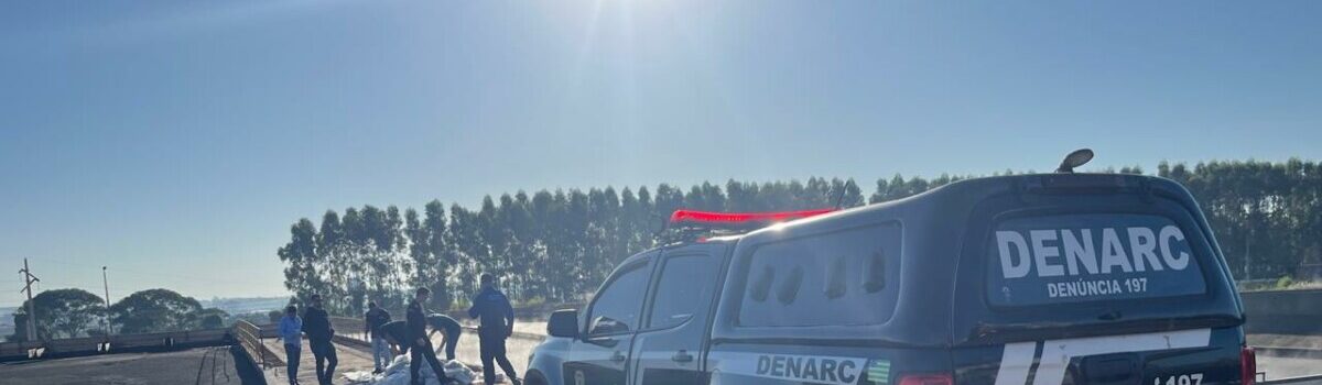 Polícia Civil incinera mais de 3 mil quilos de drogas apreendidas em Goiás