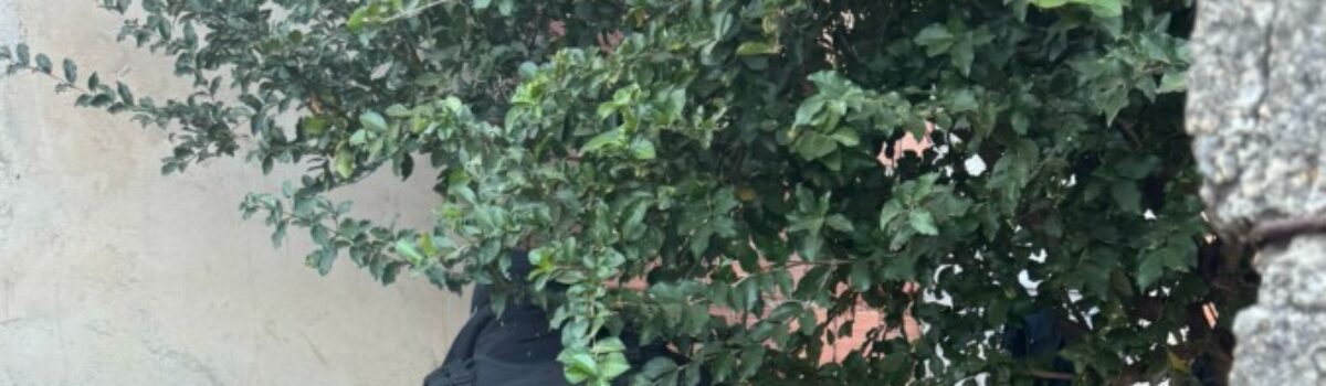 Polícia Civil prende investigado em flagrante por posse de arma de uso restrito e tráfico de drogas em Padre Bernardo