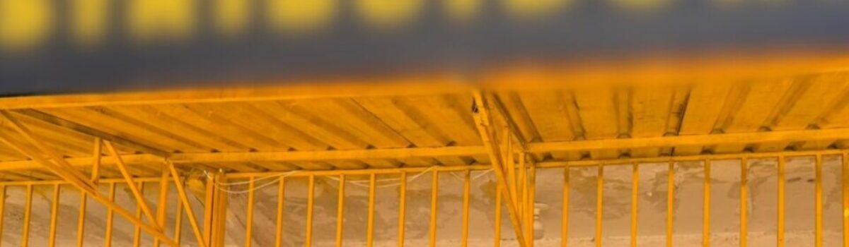 Operação conjunta flagra furto de energia em Águas Lindas