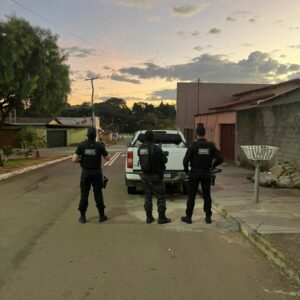 ‘Innocentia’:PCGO deflagra operação contra associação criminosa especializada em estelionato