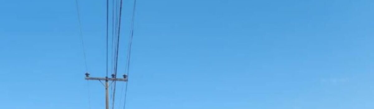 ‘Sativa’: PCGO deflagra operação e prende investigados da mesma família por tráfico em Uruana e Goianésia