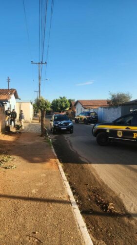 ‘Sativa’ PCGO deflagra operação e prende grupo familiar por tráfico em Uruana e Goianésia