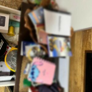 ‘Picadeiro’ : PCGO cumpre medidas judiciais por desvio de R$ 1,8 milhão em emendas parlamentares municipais