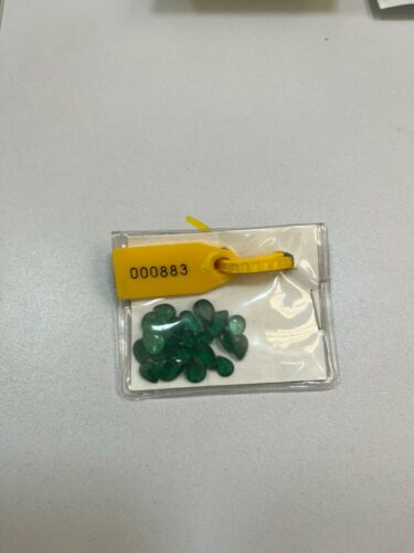 ‘Picadeiro’ : PCGO cumpre medidas judiciais por desvio de R$ 1,8 milhão em emendas parlamentares municipais