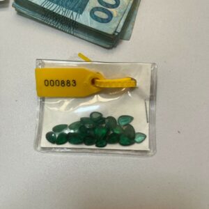 ‘Picadeiro’ : PCGO cumpre medidas judiciais por desvio de R$ 1,8 milhão em emendas parlamentares municipais