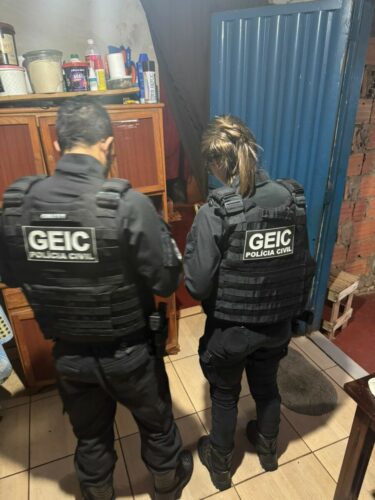 PCGO E PF deflagram operação contra crimes cibernéticos de abuso infantojuvenil