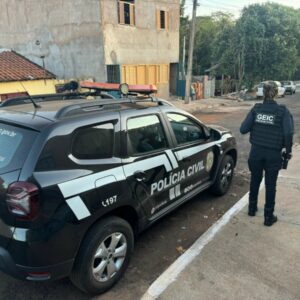 PCGO E PF deflagram operação contra crimes cibernéticos de abuso infantojuvenil