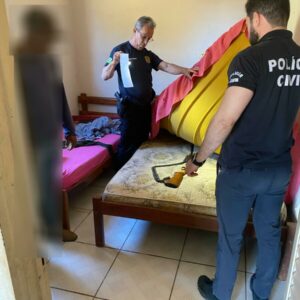 PCGO apreende 27 cabeças de gado e arma irregular durante operação contra estelionato em Formoso
