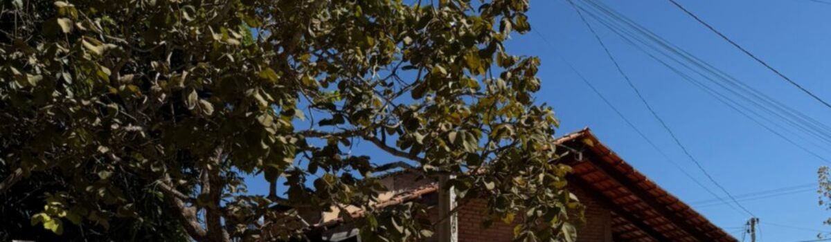 PCGO cumpre mandados judiciais contra associação criminosa ligada ao tráfico após investigação de homicídio, em Alexânia