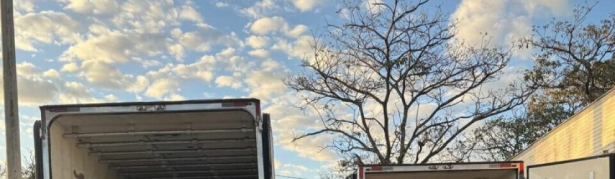 PCGO apreende carga de 12 toneladas de polpa de açaí avaliada em R$ 200 mil e desviada por meio de fraude