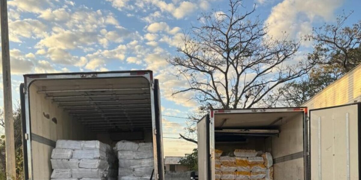 PCGO apreende carga de 12 toneladas de polpa de açaí avaliada em R$ 200 mil e desviada por meio de fraude