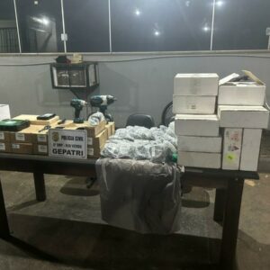 PCGO prende ex funcionários de multinacional investigados por furtar R$ 700 mil em equipamentos agrícolas, em Rio Verde