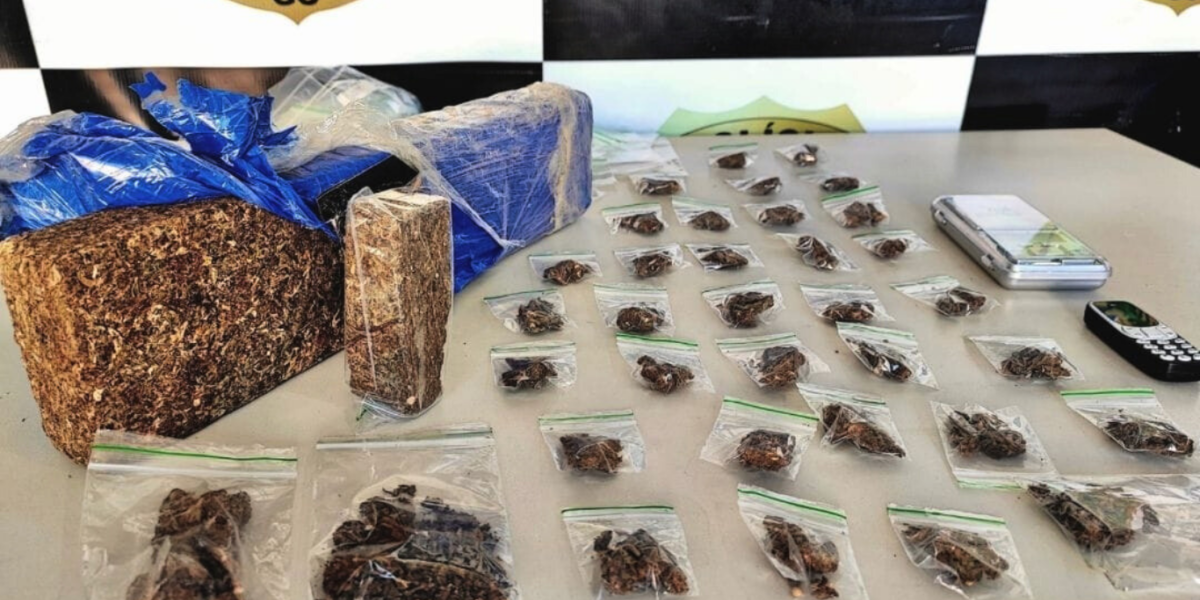 PCGO prende homem em flagrante por tráfico de drogas e apreende “super maconha” em Minaçu
