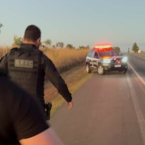 PCGO prende traficante em flagrante por transporte de “skank” de Uberlândia para Cristalina