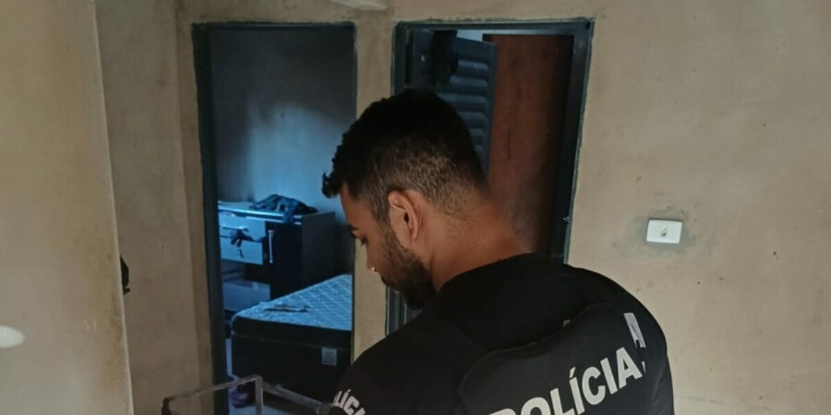 Polícia Civil apreende armas usadas para ameaçar mulher e prende investigado em flagrante