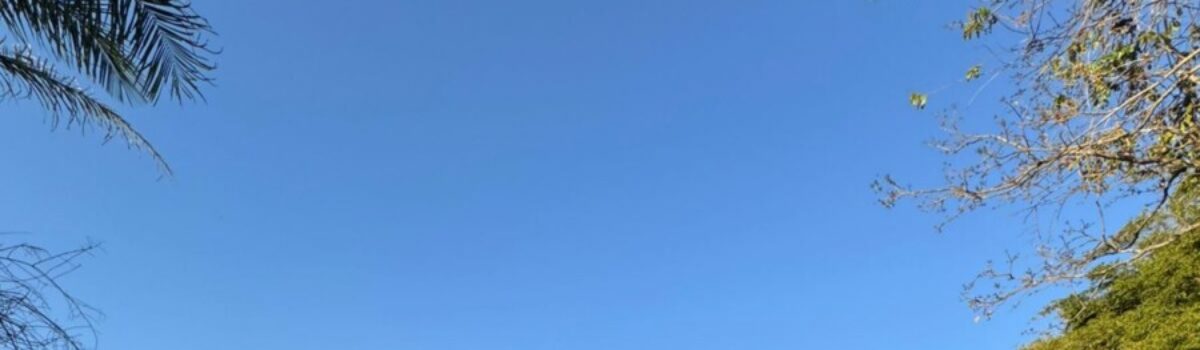 Polícia Civil investiga crime ambiental em Palminópolis; peixes foram encontrados mortos em córrego