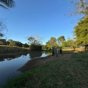 Polícia Civil investiga crime ambiental em Palminópolis; peixes foram encontrados mortos em córrego