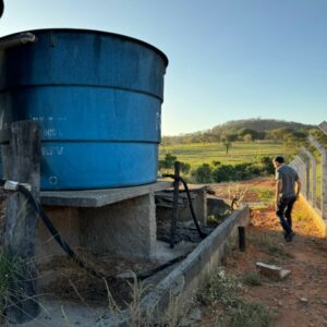 Polícia Civil investiga crime ambiental em Palminópolis; peixes foram encontrados mortos em córrego