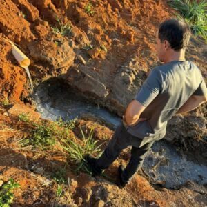 Polícia Civil investiga crime ambiental em Palminópolis; peixes foram encontrados mortos em córrego