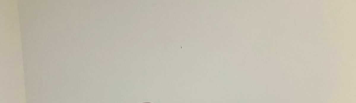 Polícia Civil prende investigado com centenas de arquivos digitais de pornografia infantil em Luziânia