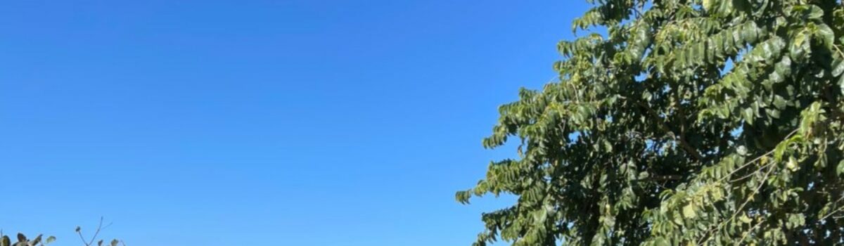 Polícia Civil prende homem que invadiu e furtou bar em Silvânia