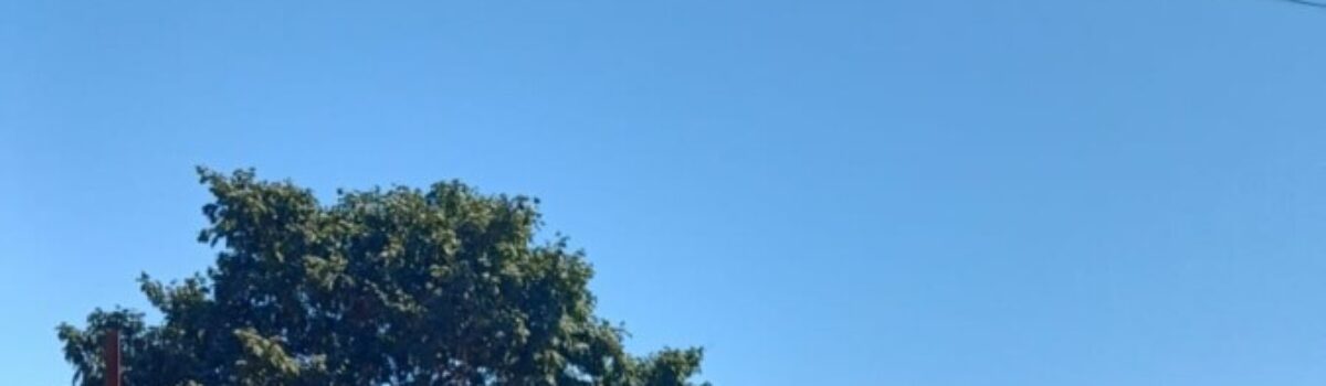 Polícia Civil recupera carro furtado em Campinorte