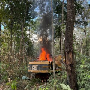 Crime ambiental: PCGO participa da Operação Onipresente, em terr