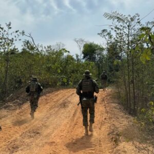 Crime ambiental: PCGO participa da Operação Onipresente, em terr