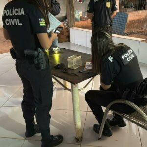 Operação Adsumus: PCGO cumpre prisões e mandados de busca contra investigados por crimes de violência doméstica e porte de arma de fogo