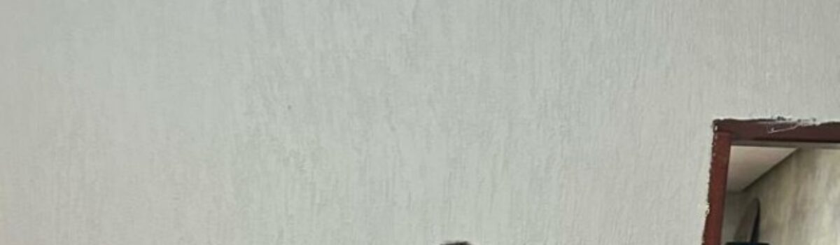 PCGO deflagra operação e prende investigado, em Catalão, por aplicar o golpe do falso advogado