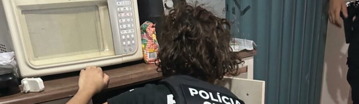 Operação Miragem: PCGO cumpre ordens judiciais e prende líder de associação criminosa que aplicava golpes na internet