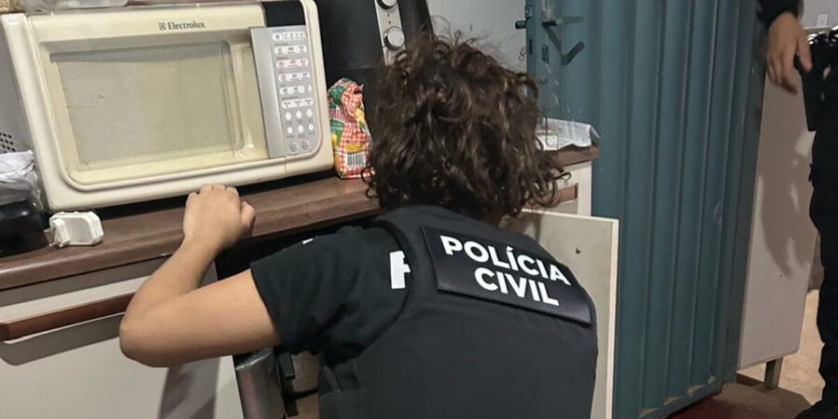 Operação Miragem: PCGO cumpre ordens judiciais e prende líder de associação criminosa que aplicava golpes na internet