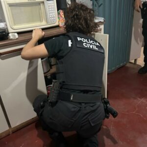 Operação Miragem: PCGO cumpre ordens judiciais e prende líder de associação criminosa que aplicava golpes na internet