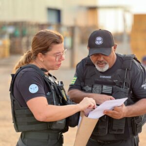 Operação Resgate: PCGO apreende 126 veículos em esquema que causou prejuízo de R$ 10 milhões