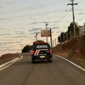 Operação Resgate: PCGO apreende 126 veículos em esquema que causou prejuízo de R$ 10 milhões