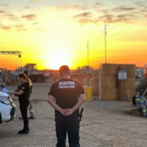 Operação Resgate: PCGO apreende 126 veículos em esquema que causou prejuízo de R$ 10 milhões