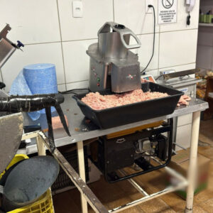 PCGO, Agrodefesa e Vigilância Sanitária apreendem mais 2 toneladas de produtos armazenados e manipulados de maneira irregular