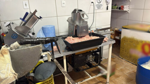 PCGO, Agrodefesa e Vigilância Sanitária apreendem mais 2 toneladas de produtos armazenados e manipulados de maneira irregular