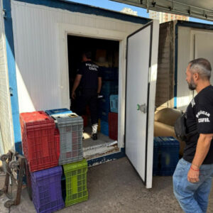 PCGO, Agrodefesa e Vigilância Sanitária apreendem mais 2 toneladas de produtos armazenados e manipulados de maneira irregular