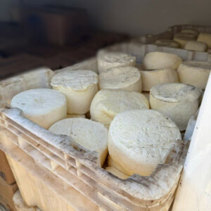 PCGO, Agrodefesa e Vigilância Sanitária apreendem mais 2 toneladas de produtos armazenados e manipulados de maneira irregular