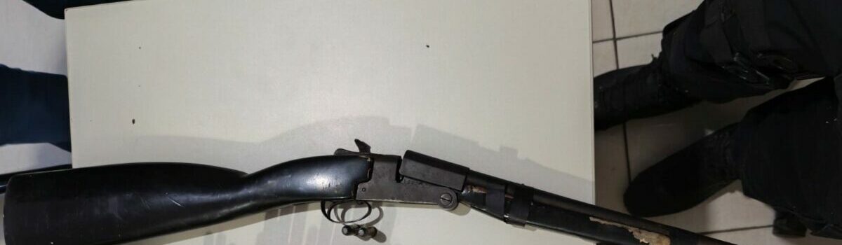 PCGO apreende arma de fogo e munições de investigado por violência doméstica