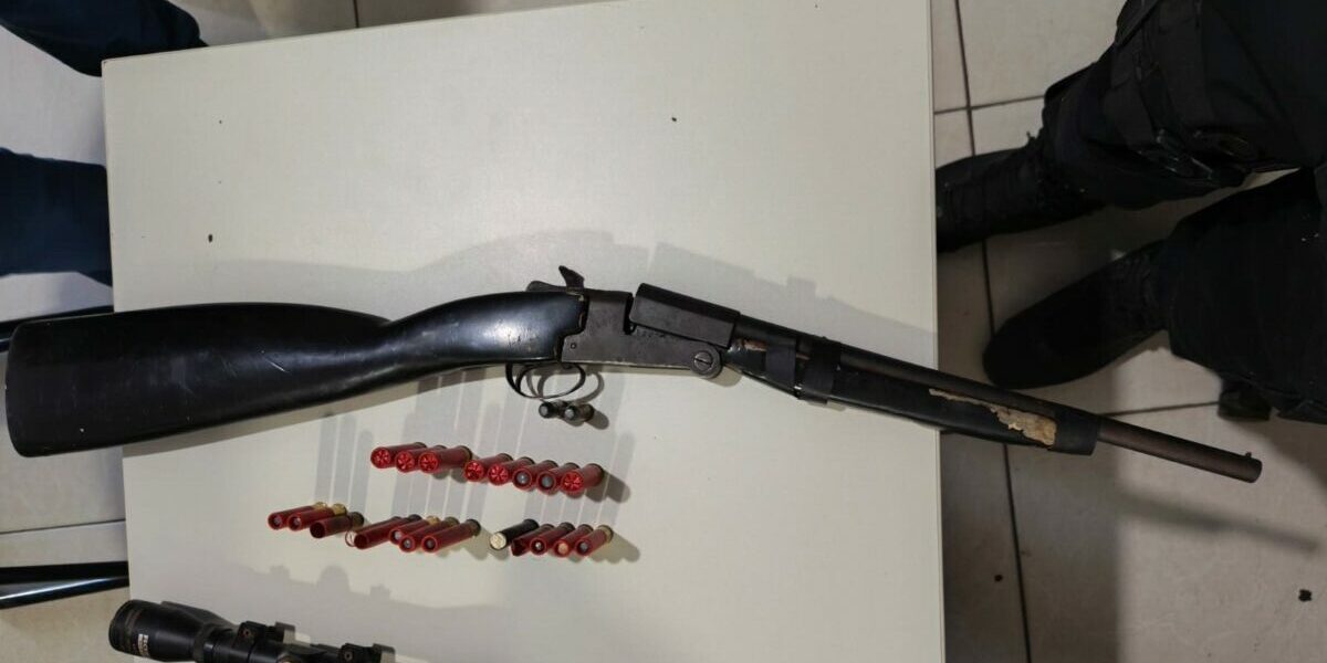 PCGO apreende arma de fogo e munições de investigado por violência doméstica