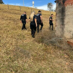 PCGO cumpre mandado e apreende armas de pressão em Anicuns por ameaça contra familiar