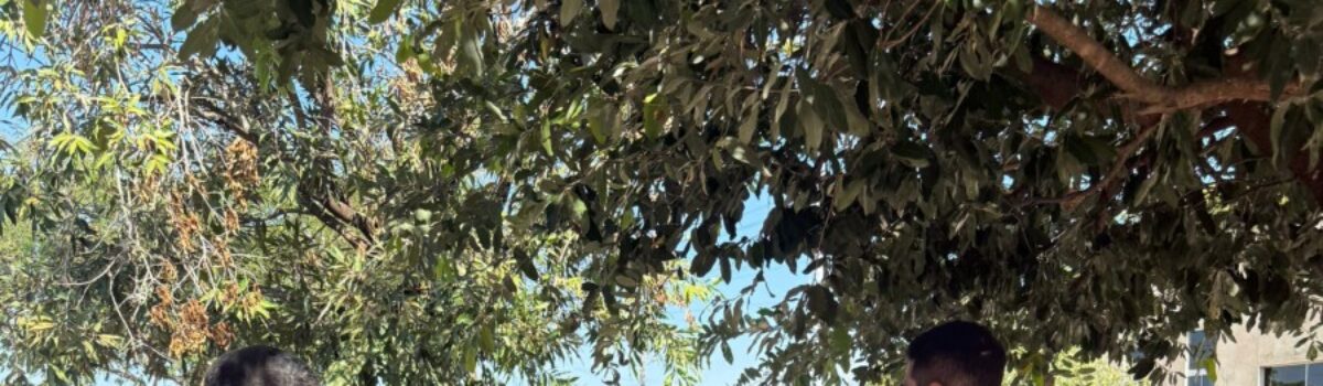 PCGO cumpre prisão preventiva e apreende arma de fogo de autor de violência doméstica, em Campos Verdes