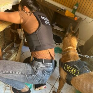 PCGO deflagra operação contra violência doméstica em Planaltina