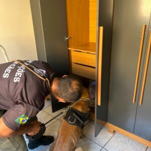 PCGO deflagra operação contra violência doméstica em Planaltina