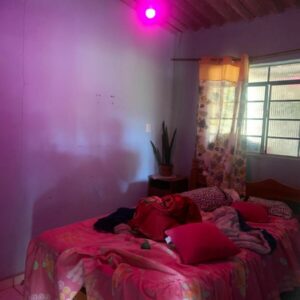 PCGO fecha casa de prostituição e prende duas mulheres por maus tratos a crianças