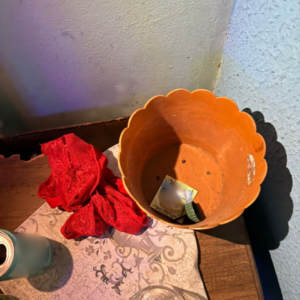 PCGO fecha casa de prostituição e prende duas mulheres por maus tratos a crianças